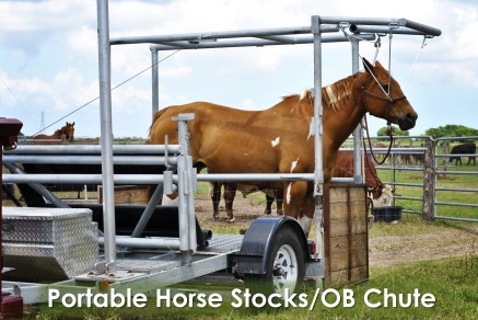 Hand-built by me, Dr. Hanselman, these stocks are customized to hold both horses for any routine care and cows that may need a C-section. 